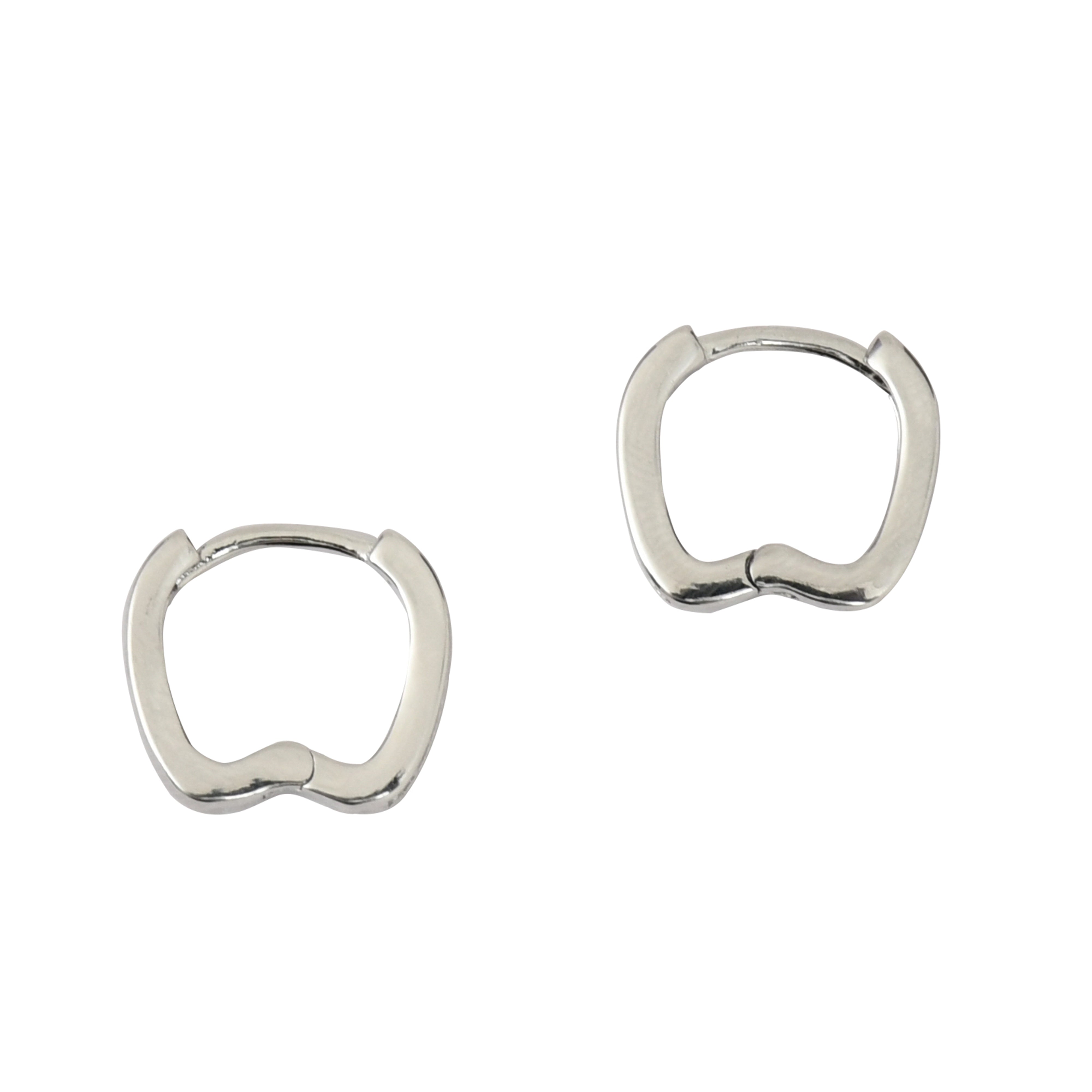 Silver Sparkle Earrings